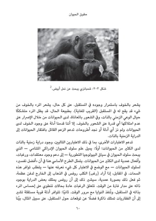 ‫اﻟﺤﻴﻮان‬ ‫ﺣﻘﻮق‬
2
.‫أﺑﻴﺾ‬ ‫ﻧﻤﻞ‬ ‫ﻋﻦ‬ ‫ﻳﺒﺤﺚ‬ ‫ﺷﻤﺒﺎﻧﺰي‬ :2-3 ‫ﺷﻜﻞ‬
‫ﻣﻦ‬ ‫ﺑﺎﻟﺨﻮف‬ ‫املﺮء‬ ‫ﻳﺸﻌﺮ‬ ،‫ﺣﺎل‬ ‫ﻛﻞ‬ ‫ﻋﲆ‬ .‫املﺴﺘﻘﺒﻞ‬ ‫ﰲ‬ ‫وﺟﻮده‬ ‫ﺑﺎﺳﺘﻤﺮار‬ ‫ﺑﺎﻟﺨﻮف‬ ‫ﻳﺸﻌﺮ‬
‫ﺎ‬ً‫ﻜ‬‫ﻣﺘﺸﻜ‬ ‫املﺮء‬ ‫ﻳﻈﻞ‬ ‫ﻗﺪ‬ ،‫اﻟﺤﺎل‬ ‫ﺑﻄﺒﻴﻌﺔ‬ .(‫ﻟﻠﻐﺎﻳﺔ‬ ‫)اﻟﻘﺮﻳﺐ‬ ‫املﺴﺘﻘﺒﻞ‬ ‫ﰲ‬ ‫ﻟﻪ‬ ‫ﻳﻘﻊ‬ ‫ﻗﺪ‬ ‫ﳾء‬
‫ﻋﲆ‬ ‫اﻹﴏار‬ ‫ﺧﻼل‬ ‫ﻣﻦ‬ ‫اﻟﺤﻴﻮاﻧﺎت‬ ‫ﻟﺪى‬ ،‫ﺑﺎملﻌﺎﻧﺎة‬ ‫اﻟﺸﻌﻮر‬ ‫وﰲ‬ ،‫ﺑﺎﻟﺬات‬ ‫اﻟﺰﻣﻨﻲ‬ ‫اﻟﻮﻋﻲ‬ ‫ﺣﻴﺎل‬
‫ﻟﺪى‬ ‫اﻟﺨﻮف‬ ‫وﺟﻮد‬ ‫ﻋﲆ‬ ‫أدﻟﺔ‬ ‫ﻗﺪﻣﻨﺎ‬ ‫أﻧﻨﺎ‬ ‫إﻻ‬ .‫ﺑﺎﻟﺨﻮف‬ ‫اﻟﺸﻌﻮر‬ ‫ﻋﲆ‬ ‫ﻗﺪرة‬ ‫أي‬ ‫اﻣﺘﻼﻛﻬﺎ‬ ‫ﻋﺪم‬
‫إﱃ‬ ‫اﻟﺤﻴﻮاﻧﺎت‬ ‫ﺑﺎﻓﺘﻘﺎر‬ ‫اﻟﻘﺎﺋﻞ‬ ‫اﻟﺰﻋﻢ‬ ‫ﺗﺪﻋﻢ‬ ‫أﻃﺮوﺣﺎت‬ ‫ﻧﺠﺪ‬ ‫أو‬ ‫أدﻟﺔ‬ ‫أي‬ َ‫ﺮ‬‫ﻧ‬ ‫وﻟﻢ‬ ‫اﻟﺤﻴﻮاﻧﺎت‬
.‫ﺑﺎﻟﺬات‬ ‫اﻟﺰﻣﻨﻴﺔ‬ ‫اﻟﺪراﻳﺔ‬
‫ﺑﺎﻟﺬات‬ ‫زﻣﻨﻴﺔ‬ ‫دراﻳﺔ‬ ‫وﺟﻮد‬ ،‫اﻟﺘﺎﻟﻴني‬ ‫اﻻﻋﺘﺒﺎرﻳﻦ‬ ‫ذﻟﻚ‬ ‫ﰲ‬ ‫ﺑﻤﺎ‬ ،‫اﻷﺧﺮى‬ ‫اﻻﻋﺘﺒﺎرات‬ ‫ﺗﺪﻋﻢ‬
‫اﻟﺬي‬ — ‫املﺘﻨﺎﻣﻲ‬ ‫اﻹدراﻛﻲ‬ ‫اﻟﺤﻴﻮان‬ ‫ﺳﻠﻮك‬ ‫ﻋﻠﻢ‬ ‫ﻳﻤﻴﻞ‬ : ً‫أوﻻ‬ ‫اﻟﺤﻴﻮاﻧﺎت؛‬ ‫ﻣﻦ‬ ‫اﻟﻜﺜري‬ ‫ﻟﺪى‬
،‫ورﻏﺒﺎت‬ ،‫ﻣﻌﺘﻘﺪات‬ ‫وﺟﻮد‬ ‫دﻋﻢ‬ ‫إﱃ‬ — ‫اﻟﺘﻄﻮرﻳﺔ‬ ‫اﻟﺒﻴﻮﻟﻮﺟﻴﺎ‬ ‫ﺳﻴﺎق‬ ‫ﰲ‬ ‫اﻟﺤﻴﻮان‬ ‫ﺳﻠﻮك‬ ‫ﻳﺒﺤﺚ‬
«‫ﺗﻔﺴري‬ ‫»أﻓﻀﻞ‬ ‫أن‬ ‫ﰲ‬ ‫ﻫﻨﺎ‬ ‫اﻷﺳﺎﳼ‬ ‫اﻟﻄﺮح‬ ‫ﻳﺘﻤﺜﻞ‬ .‫اﻟﺤﻴﻮاﻧﺎت‬ ‫ﻣﻦ‬ ‫اﻟﻜﺜري‬ ‫ﻟﺪى‬ ‫ﻋﻤﺪﻳﺔ‬ ‫وأﻓﻌﺎل‬
‫ﻫﺬه‬ ‫ﺗﻮاﻓﺮ‬ ‫ﻳﺘﻄﻠﺐ‬ — ‫ﻋﻨﻬﺎ‬ ‫ﻧﻌﺮﻓﻪ‬ ‫ﳾء‬ ‫ﻛﻞ‬ ‫اﻻﻋﺘﺒﺎر‬ ‫ﰲ‬ ‫اﻟﻮﺿﻊ‬ ‫ﻣﻊ‬ — ‫اﻟﺤﻴﻮاﻧﺎت‬ ‫ﻟﺴﻠﻮك‬
،‫ﻋﻈﻤﺔ‬ ‫ﻟﺪﻓﻦ‬ ‫اﻟﺨﺎرج‬ ‫إﱃ‬ ‫اﻟﺬﻫﺎب‬ ‫ﰲ‬ ‫روﻓﺲ‬ ‫اﻟﻜﻠﺐ‬ (‫)رﻏﺐ‬ ‫أراد‬ ‫إذا‬ ،‫املﻘﺎﺑﻞ‬ ‫ﰲ‬ .‫اﻟﺴﻤﺎت‬
‫ﺑﻮﺟﻮد‬ ‫اﻟﺪراﻳﺔ‬ ‫ﺑﻌﺾ‬ ‫ﻳﻤﺘﻠﻚ‬ ‫روﻓﺲ‬ ‫أن‬ ‫إﱃ‬ ‫ذﻟﻚ‬ ‫ﺳﻴﺸري‬ ،‫ﻋﻤﺪﻳﺔ‬ ‫ﺑﺼﻮرة‬ ‫ذﻟﻚ‬ ‫ﻓﻌﻞ‬ ‫ﺛﻢ‬
‫املﺮء‬ ‫إﺣﺴﺎس‬ ‫ﻋﲆ‬ ‫ﺗﻨﻄﻮي‬ ‫ﺑﺤﺎﻻت‬ ‫ﻋﺎدة‬ ‫اﻟﺮﻏﺒﺎت‬ ‫ﺗﺘﻌﻠﻖ‬ .‫اﻟﻮﻗﺖ‬ ‫ﻣﻦ‬ ‫ﻓﱰة‬ ‫ﻣﺪار‬ ‫ﻋﲆ‬ ‫ذاﺗﻪ‬
‫ﺗﺸري‬ ‫ﻣﺴﺘﻘﻠﺔ‬ ‫ﻗﻮﻳﺔ‬ ‫أدﻟﺔ‬ ‫ﺗﺘﻮاﻓﺮ‬ :‫ًﺎ‬‫ﻴ‬‫ﺛﺎﻧ‬ .‫اﻟﻮﻗﺖ‬ ‫ﻣﺮور‬ ‫ﻣﻊ‬ ‫اﻟﻨﻮاﻳﺎ‬ ‫ﻨﻔﺬ‬ُ‫ﺗ‬‫و‬ ،‫املﺴﺘﻘﺒﻞ‬ ‫ﰲ‬ ‫ﺑﺬاﺗﻪ‬
‫ﱠﻨﺎ‬‫ﻴ‬‫ﺑ‬ ،‫املﺜﺎل‬ ‫ﺳﺒﻴﻞ‬ ‫ﻋﲆ‬ .‫املﺴﺘﻘﺒﻞ‬ ‫ﺣﻮل‬ ‫ﺗﻮﻗﻌﺎت‬ ‫ﻋﻦ‬ ً‫ﻓﻀﻼ‬ ‫ذاﻛﺮة‬ ‫ﺗﻤﺘﻠﻚ‬ ‫اﻟﻔﻘﺎرﻳﺎت‬ ‫أن‬ ‫إﱃ‬
60
 