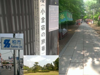 ̨ޤǚi