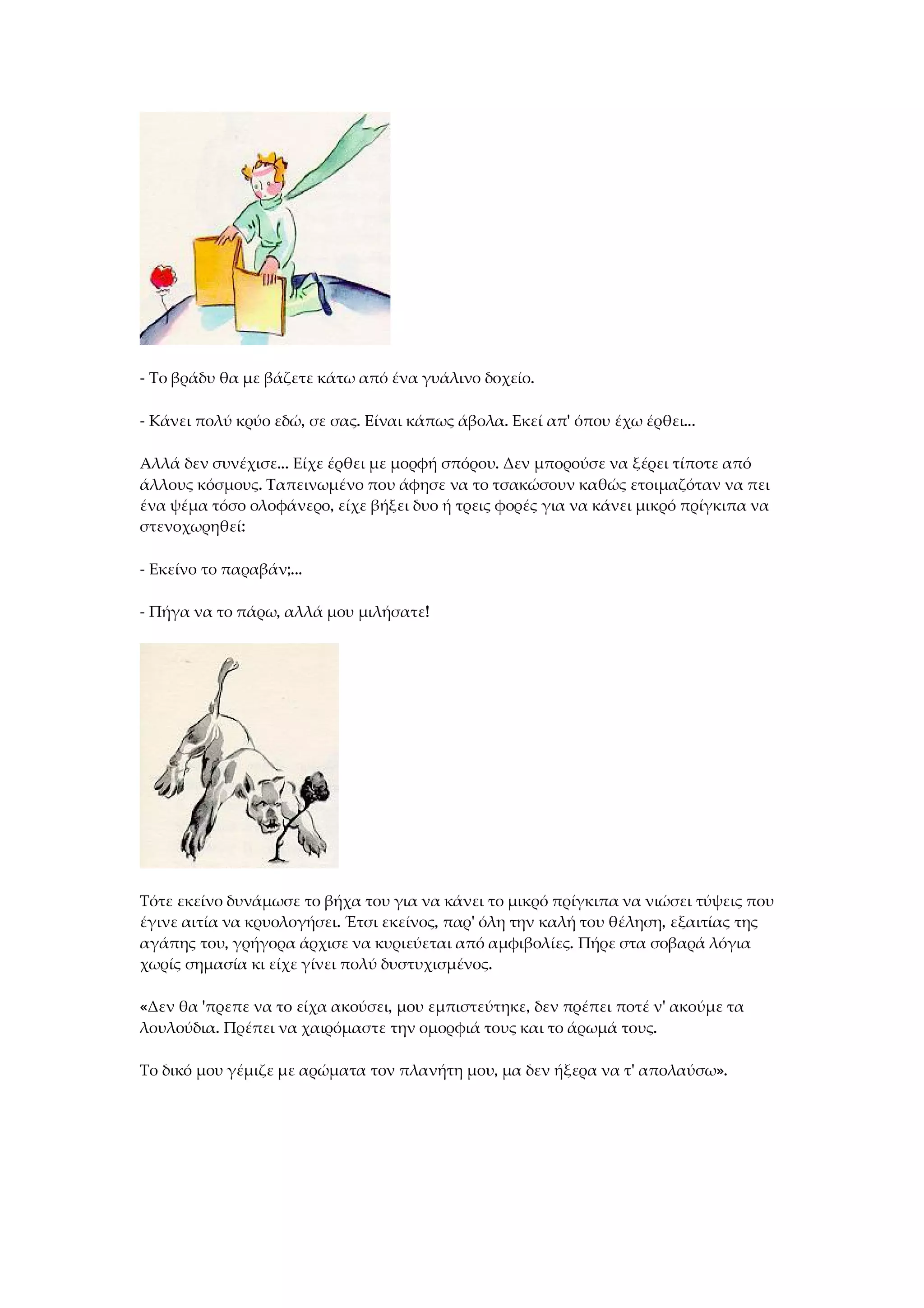 - Το βράδυ θα με βάζετε κάτω από ένα γυάλινο δοχείο.
- Κάνει πολύ κρύο εδώ, σε σας. Είναι κάπως άβολα. Εκεί απ' όπου έχω έρθει...
Αλλά δεν συνέχισε... Είχε έρθει με μορφή σπόρου. Δεν μπορούσε να ξέρει τίποτε από
άλλους κόσμους. Ταπεινωμένο που άφησε να το τσακώσουν καθώς ετοιμαζόταν να πει
ένα ψέμα τόσο ολοφάνερο, είχε βήξει δυο ή τρεις φορές για να κάνει μικρό πρίγκιπα να
στενοχωρηθεί:
- Εκείνο το παραβάν;...
- Πήγα να το πάρω, αλλά μου μιλήσατε!
Τότε εκείνο δυνάμωσε το βήχα του για να κάνει το μικρό πρίγκιπα να νιώσει τύψεις που
έγινε αιτία να κρυολογήσει. Έτσι εκείνος, παρ' όλη την καλή του θέληση, εξαιτίας της
αγάπης του, γρήγορα άρχισε να κυριεύεται από αμφιβολίες. Πήρε στα σοβαρά λόγια
χωρίς σημασία κι είχε γίνει πολύ δυστυχισμένος.
«Δεν θα 'πρεπε να το είχα ακούσει, μου εμπιστεύτηκε, δεν πρέπει ποτέ ν' ακούμε τα
λουλούδια. Πρέπει να χαιρόμαστε την ομορφιά τους και το άρωμά τους.
Το δικό μου γέμιζε με αρώματα τον πλανήτη μου, μα δεν ήξερα να τ' απολαύσω».
 