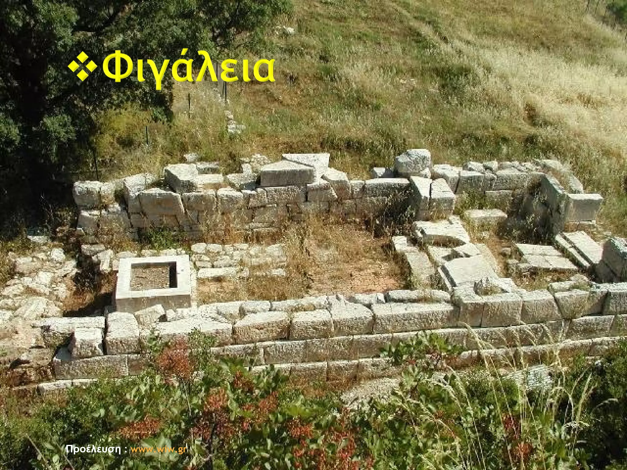 Προέλευση : www.wiw.gr
 