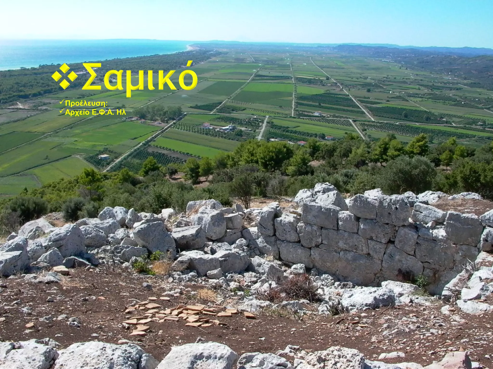 Προέλευση:
Αρχείο Ε.Φ.Α. Ηλ
 