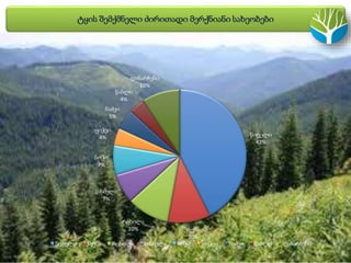 ტყის შემქმნელი ძირითადი მერქნიანი სახეობები
წიფელი
43%
მუხა
10%
რცხილა
10%
თხმელა
7%
სოჭი
7%
ფიჭვი
4%
ნაძვი
5%
წაბლი
4%
და...