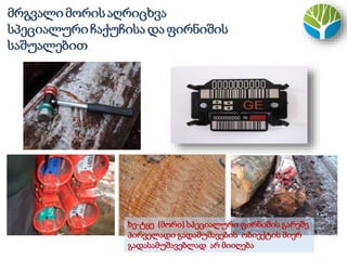 მრგვალიმორისაღრიცხვა
სპეციალურიჩაქუჩისა დაფირნიშის
საშუალებით
ხე-ტყე (მორი) სპეციალური ფირნიშის გარეშე
პირველადი გადამუშავების ობიექტის მიერ
გადასამუშავებლად არ მიიღება
 