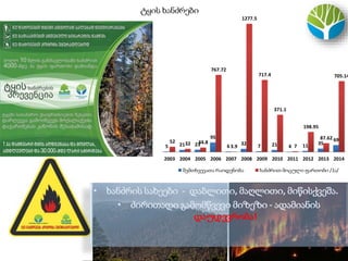 ტყის ხანძრები
5 21 23
95
6 32 7 21 4 11 35
6952 32 44.8
767.72
3.9
1277.5
717.4
371.1
7
198.95
87.62
705.14
2003 2004 2005 2006 2007 2008 2009 2010 2011 2012 2013 2014
შემთხვევათა რაოდენობა ხანძრით მოცული ფართობი /ჰა/
• ხანძრის სახეები - დაბლითი, მაღლითი, მიწისქვეშა.
• ძირითადი გამომწვევი მიზეზი - ადამიანის
დაუდევრობა!
 