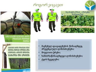 როგორ ვიცავთ
• მავნებელ-დაავადებების წინააღმდეგ
პრევენციული ღონისძიებები;
• მოვლითი ჭრები;
• ხანძარსაწინააღმდეგო ღონისძიებები;
• ტყის მცველები;
.
 