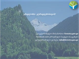 გმადლობთ ყურადღებისთვის!
ელექტრონული მისამართი: Forestry.gov.ge
Facebook.com:ეროვნული სატყეო სააგენტო
ელექტრონული ფოსტა: info@forestry.gov.ge
 