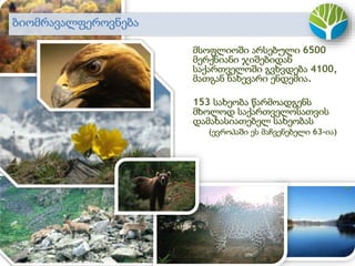 მსოფლიოში არსებული 6500
მერქნიანი ჯიშებიდან
საქართველოში გვხვდება 4100,
მათგან ნახევარი ენდემია.
153 სახეობა წარმოადგენს
მხოლოდ საქართველოსათვის
დამახასიათებელ სახეობას
(ევროპაში ეს მაჩვენებელი 63-ია)
საქართველოს ტყეების ბიომრავალფეროვნებაბიომრავალფეროვნება
 