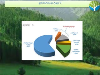 .
ვინ მართავს ტყეს ?
 