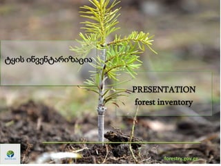 forestry.gov.ge
PRESENTATION
forest inventory
ტყის ინვენტარიზაცია
 