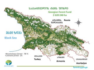 Georgian Forest Fund
2 620 240 ha
Russia
Black Sea
Turkey
Armenia
Azerbaijan
forestry.gov.ge
•Mountainous forest – 98 %
•L...