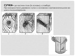 СУЧКИ– це частини гілок (їх основи) у стовбурі.
При використанні деревини сучки є основною сортовизначальною ва-
дою в пиломатеріалах.
 