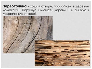 Червоточина – ходи й отвори, пророблені в деревині
комахами. Порушує цілісність деревини й знижує її
механічні властивості.
 