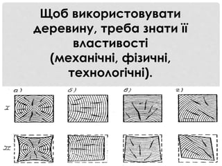 Щоб використовувати
деревину, треба знати її
властивості
(механічні, фізичні,
технологічні).
 