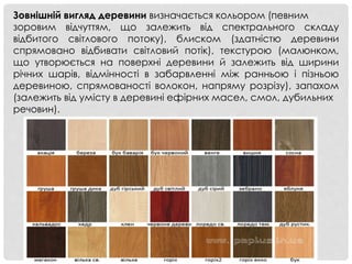 Зовнішній вигляд деревини визначається кольором (певним
зоровим відчуттям, що залежить від спектрального складу
відбитого світлового потоку), блиском (здатністю деревини
спрямовано відбивати світловий потік), текстурою (малюнком,
що утворюється на поверхні деревини й залежить від ширини
річних шарів, відмінності в забарвленні між ранньою і пізньою
деревиною, спрямованості волокон, напряму розрізу), запахом
(залежить від умісту в деревині ефірних масел, смол, дубильних
речовин).
 