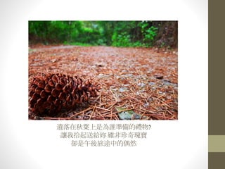 遺落在秋葉上是為誰準備的禮物?
讓我拾起送給妳 雖非珍奇瑰寶
卻是午後旅途中的偶然
 