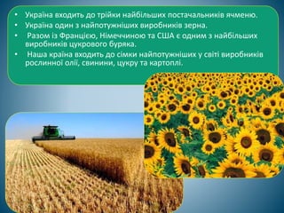 • Україна входить до трійки найбільших постачальників ячменю.
• Україна один з найпотужніших виробників зерна.
• Разом із Францією, Німеччиною та США є одним з найбільших
виробників цукрового буряка.
• Наша країна входить до сімки найпотужніших у світі виробників
рослинної олії, свинини, цукру та картоплі.
 