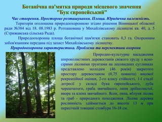 Час створення. Просторове розташування. Площа. Юридична належність.
Територія оголошена природоохоронною згідно рішення Вінницької обласної
ради №384 від 18. 08.1983 р. Розташована у Михайлівському лісництві кв. 40, д. 5
(Стрижавська сільська Рада).
Природоохоронна площа ботанічної пам'ятки становить 0,3 га. Охоронним
зобов'язанням передана під захист Михайлівському лісництву.
Природоохоронна характеристика. Проблеми та перспективи охорони
Природно-культурне насадження
широколистяних деревостанів свіжого груду з ясно-
сірими лісовими ґрунтами на лесовидних суглинках
представлено молодим (46 років) закритого
простору деревостаном (0,75 повнота) високої
рекреаційної оцінки, 2-го класу стійкості, 1-ї стадії
дегресії у складі бука європейського, дуба
черешчатого, граба звичайного, липи дрібнолистої,
явора та клена звичайного. Ясен, липа, яблуня лісова
та граб - природного походження. Лісова деревна
рослинність здіймається до висоти 13 м при
пересічній товщині стовбура 16-18 см.
 