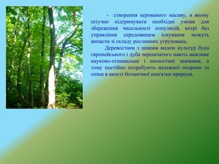 - створення керованого масиву, в якому
штучно підтримувати необхідні умови для
збереження чисельності популяцій, котрі без
управління середовищем існування можуть
випасти зі складу рослинних угруповань.
Деревостани з цінним видом культур бука
європейського і дуба черешчатого мають важливе
науково-пізнавальне і екологічне значення, а
тому постійно потребують належної охорони та
опіки в якості ботанічної пам'ятки природи.
 