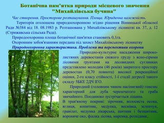 Час створення. Просторове розташування. Площа. Юридична належність.
Територія оголошена природоохоронною згідно рішення Вінницької обласної
Ради №384 від 18. 08.1983 р. Розташована у Михайлівському лісництві кв. 37, д. 12
(Стрижавська сільська Рада).
Природоохоронна площа ботанічної пам'ятки становить 0,1га.
Охоронним зобов'язанням передана під захист Михайлівському лісництву
Природоохоронна характеристика. Проблеми та перспективи охорони
Природно-культурне насадження широко-
листяних деревостанів свіжого груду з ясно-сірими
лісовими ґрунтами на лесовидних суглинках
представлено молодим (46 років) закритого простору
деревостан (0,70 повнота) високої рекреаційної
оцінки, 2-го класу стійкості, 1-ї стадії дегресії такого
складу 5БКЕ 2ДЧ ІГО.
Природний (головним чином насіннєвий) генезис
характерний для дуба черешчатого та граба
звичайного. Поодиноко зустрічається ліщина.
В трав'яному покриві: зірочник, волосиста осока,
яглиця, копитняк, медунка, веснівка, зеленчук,
гравілат, медунка лікарська, щитник і безщитник,
вороняче око, фіалка лісова, маренка, розхідник,
 