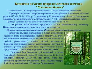 Час створення. Просторове розташування. Площа. Юридична належність.
Територія оголошена природоохоронною згідно рішення Вінницької обласної
ради №317 від 29. 08. 1984 р. Розташована у Якушинецькому лісництві Вінницького
державного лісомисливського господарства кв. 27, д.8. (Стрижавська сільська Рада).
Природоохоронна площа ботанічної пам'ятки становить 1,5 га.
Охоронним зобов'язанням передана під захист Якушинецькому лісництву
Вінницького державного лісомисливського господарства.
Природоохоронна характеристика. Проблеми та перспективи охорони.
Ботанічна пам'ятка знаходиться в межах піднесеного
лесового плато правобережної частини басейну Пд. Бугу,
яка впливаючи на перерозподіл водних мас дає вологіші за
сусідні (розчленовані) відміни лісової рослинності.
Наділена ясно-сірими лісовими суглинистими Грунтами та
свіжими грабово-дубравного типу деревостанами високої
продуктивності і дещо вище середньої повнотою (0,60)
Основний фон формують дуб звичайний та ясени
(звичайний і білоцвітий) віком 69 років, висотою 23-25 м та
діаметром стовбура 24-25 см. При цьому лише ясен
звичайний природного походження. Інші - лісові культури.
В підліску зімкненістю 0, 20 домінує бузина чорна.
 
