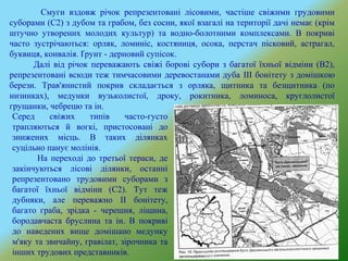 Смуги вздовж річок репрезентовані лісовими, частіше свіжими грудовими
суборами (С2) з дубом та грабом, без сосни, якої взагалі на території дачі немає (крім
штучно утворених молодих культур) та водно-болотними комплексами. В покриві
часто зустрічаються: орляк, ломиніс, костяниця, осока, перстач пісковий, астрагал,
буквиця, конвалія. Ґрунт - дерновий супісок.
Далі від річок переважають свіжі борові субори з багатої їхньої відміни (В2),
репрезентовані всюди теж тимчасовими деревостанами дуба III бонітету з домішкою
берези. Трав'янистий покрив складається з орляка, щитника та безщитника (по
низинках), медунки вузьколистої, дроку, рокитника, ломиноса, круглолистої
грущанки, чебрецю та ін.
Серед свіжих типів часто-густо
трапляються й вогкі, пристосовані до
знижених місць. В таких ділянках
суцільно панує молінія.
На переході до третьої тераси, де
закінчуються лісові ділянки, останні
репрезентовано трудовими суборами з
багатої їхньої відміни (С2). Тут теж
дубняки, але переважно II бонітету,
багато граба, зрідка - черешня, ліщина,
бородавчаста бруслина та ін. В покриві
до наведених вище домішано медунку
м'яку та звичайну, гравілат, зірочника та
інших трудових представників.
 