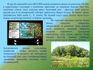 В другій (середній) смузі (В2 й ВЗ) можна натрапити зрідка на невеличкі (30-50м
в пересічнику) улоговини з осоковими заростями; на тіньовому їхньому боці (під
північною стіною лісу) суцільно панує болотяний мох - сфагнум, який почасти
насувається й на мінеральний субстрат прилеглого берега болота. На болоті зрідка
трапляються Salix aurita L., S. cineria. На вузькій смузі серед болота часто-густо
можна зустріти круглолисту та борову грушанку.
На території заказника зростає багато
цінних кормових, лікарських,
декоративних та рідкісних видів рослин:
актея колосиста, валеріана лікарська,
косарики черепичасті, купальниця
європейська, лілія лісова, перстач білий,
півники болотні, півники сибірські,
рутвиця орликолиста, чемериця Лобеля.
Зустрічаються орхідні (зозулинець
плямистий, любка дволиста, любка
зеленоцвіта) та рослини, які знаходяться
на південній межі свого поширення (верес
звичайний, зимолюбка зонтична, плаун
булавовидний).
 