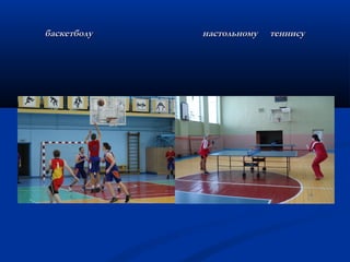 баскетболу настольному теннисубаскетболу настольному теннису
 