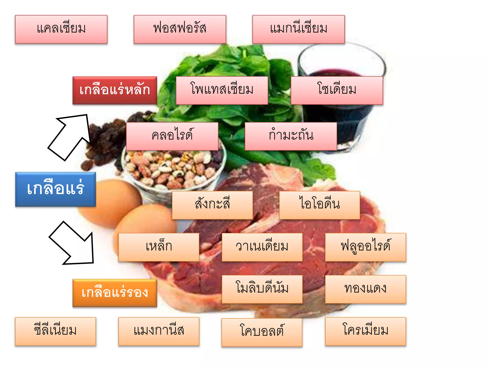 เกลือแร่
แคลเซียม
โพแทสเซียม
แมกนีเซียม
กำมะถัน
โซเดียม
ฟอสฟอรัส
คลอไรด์
เกลือแร่หลัก
เกลือแร่รอง
วำเนเดียม ฟลูออไรด์
แมงกำนีส โครเมียม
ทองแดง
โคบอลต์ซีลีเนียม
โมลิบดีนัม
สังกะสี
เหล็ก
ไอโอดีน
 