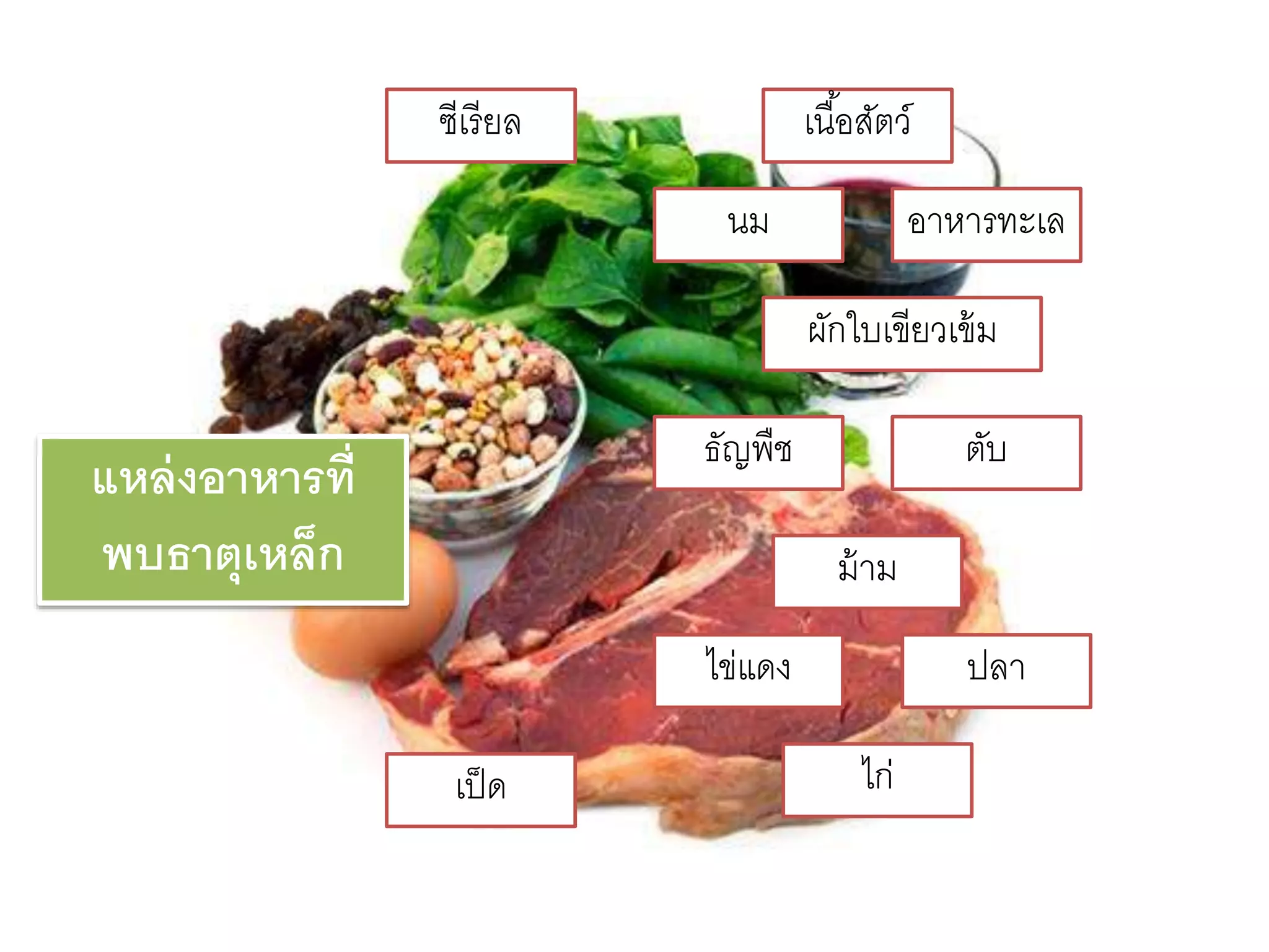 แหล่งอาหารที่
พบธาตุเหล็ก
เนื้อสัตว์
ไก่
ซีเรียล
เป็ด
อำหำรทะเลนม
ธัญพืช
ผักใบเขียวเข้ม
ไข่แดง
ตับ
ปลำ
ม้ำม
 