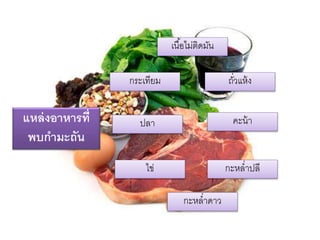 แหล่งอาหารที่
พบกามะถัน
เนื้อไม่ติดมัน
กระเทียม ถั่วแห้ง
ปลำ
ไข่
คะน้ำ
กะหล่ำปลี
กะหล่ำดำว
 