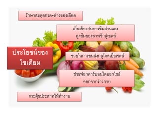 ประโยชน์ของ
โซเดียม
รักษำสมดุลกรด-ด่ำงของเลือด
ช่วยฟอกคำร์บอนไดออกไซน์
ออกจำกร่ำงกำย
เกี่ยวข้องกับกำรซึมผ่ำนและ
ดูดซึมของสำรเข้ำสู่เซลล์
กระตุ้นประสำทให้ทำงำน
ช่วยในกำรขนส่งกลูโคสเยื่อเซลล์
 