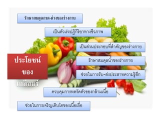 ประโยชน์
ของ
เกลือแร่
รักษาสมดุลกรด-ด่างของร่างกาย
เป็นตัวเร่งปฏิกิริยำทำงชีวภำพ
เป็นส่วนประกอบที่สำคัญของร่ำงกำย
รักษำสมดุลน้ำของร่ำงกำย
ช่วยในกำรเจริญเติบโตของเนื้อเยื่อ
ช่วยในกำรรับ-ส่งประสำทควำมรู้สึก
ควบคุมกำรหดรัดตัวของกล้ำมเนื้อ
 