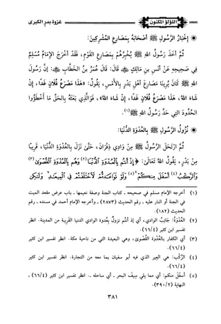 اللؤلؤ المكنون في سيرة النبي المأمون