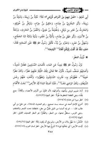 اللؤلؤ المكنون في سيرة النبي المأمون