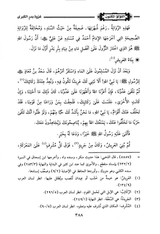 اللؤلؤ المكنون في سيرة النبي المأمون