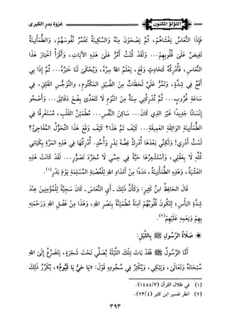 اللؤلؤ المكنون في سيرة النبي المأمون