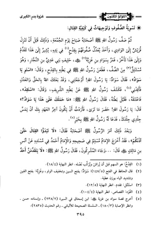 اللؤلؤ المكنون في سيرة النبي المأمون