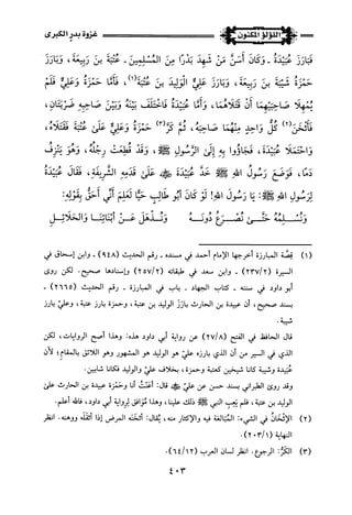 اللؤلؤ المكنون في سيرة النبي المأمون