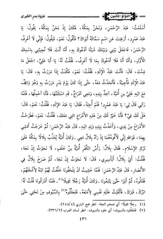 اللؤلؤ المكنون في سيرة النبي المأمون