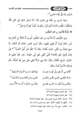 اللؤلؤ المكنون في سيرة النبي المأمون