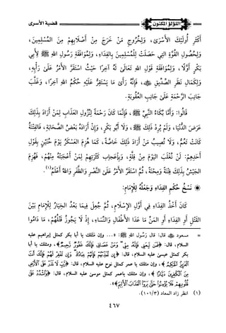 اللؤلؤ المكنون في سيرة النبي المأمون