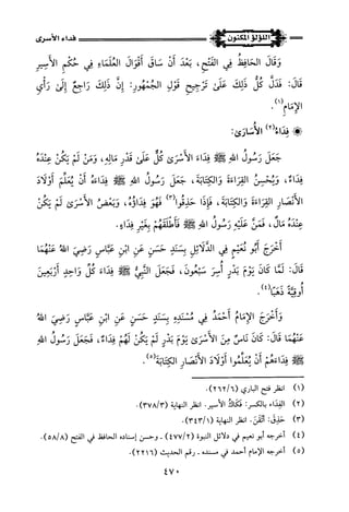 اللؤلؤ المكنون في سيرة النبي المأمون