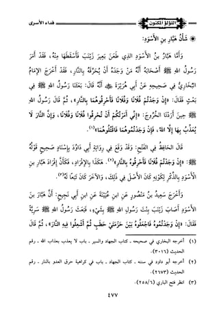 اللؤلؤ المكنون في سيرة النبي المأمون