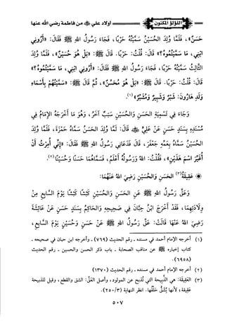 اللؤلؤ المكنون في سيرة النبي المأمون