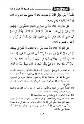 اللؤلؤ المكنون في سيرة النبي المأمون