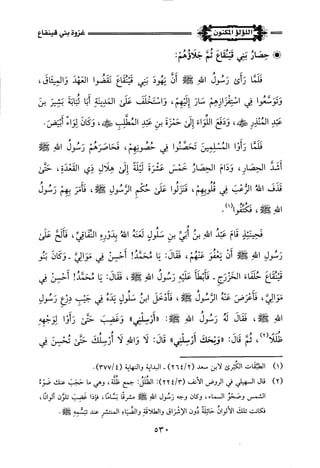 اللؤلؤ المكنون في سيرة النبي المأمون