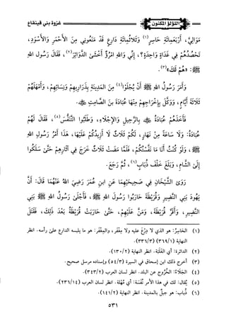 اللؤلؤ المكنون في سيرة النبي المأمون