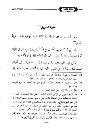 اللؤلؤ المكنون في سيرة النبي المأمون