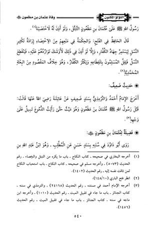 اللؤلؤ المكنون في سيرة النبي المأمون