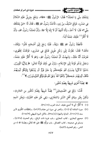 اللؤلؤ المكنون في سيرة النبي المأمون